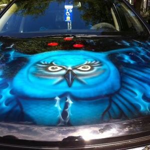 Meet your Posher, Dawn